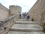 Clicca qui per vedere l'immagine in dettaglio